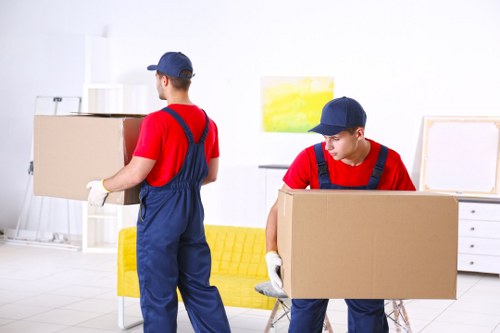 Loading a van during a professional moving service