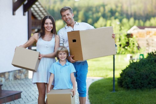 Packed boxes and furniture prepared for removals